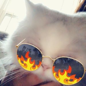 Meet your Posher, Jaylynn